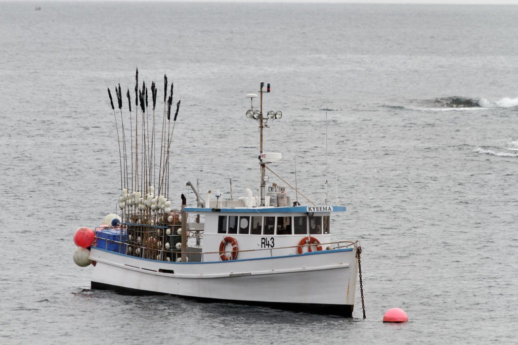 05 - Bay of Fire (8).jpg